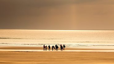 Exiting Journey Through Traditional Cuisine