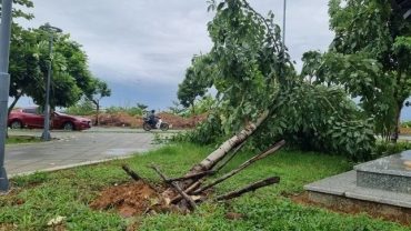 Đà Nẵng tạm dừng tham quan bán đảo Sơn Trà do mưa lớn