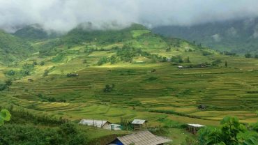 ‘Mùa vàng’ Mù Cang Chải, Hoàng Su Phì không bị ảnh hưởng bởi bão lũ