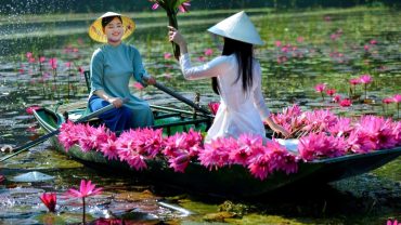 Cảnh sắc Tam Cốc mùa hoa súng nở