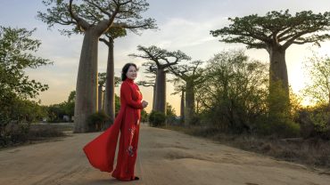 U70 Việt chi hơn 100 triệu đồng xem cây bao báp ở Madagascar