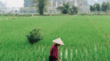 Báo Mỹ vinh danh một điểm đến ở Việt Nam vào top đẹp nhất thế giới