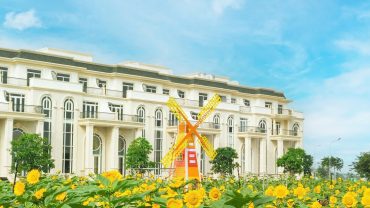 TP.HCM khai trương lễ hội hoa hướng dương