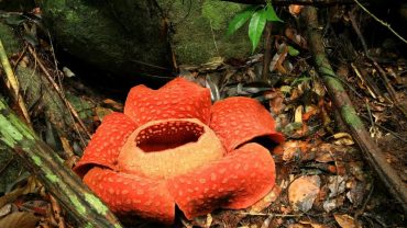 7 điểm đến bốc mùi kỳ lạ nhất thế giới