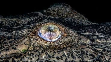 Chiêm ngưỡng những bức ảnh du lịch đẹp nhất thế giới