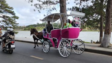 Đà Lạt gia hạn xe ngựa chở du khách quanh hồ Xuân Hương đến hết tháng 3